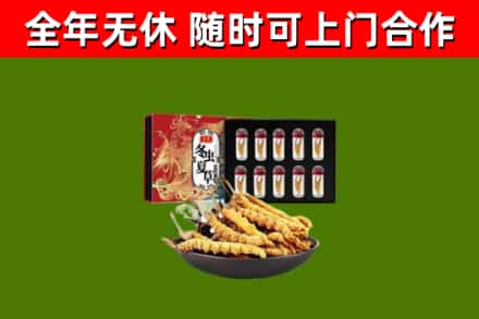 尚义回收冬虫夏草价格